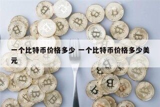 刚开始一个比特币价格多少 一个比特币价格多少